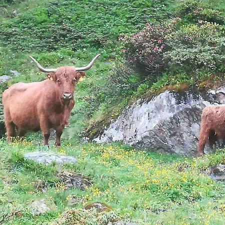 بيت ضيافة Haus Pechtl