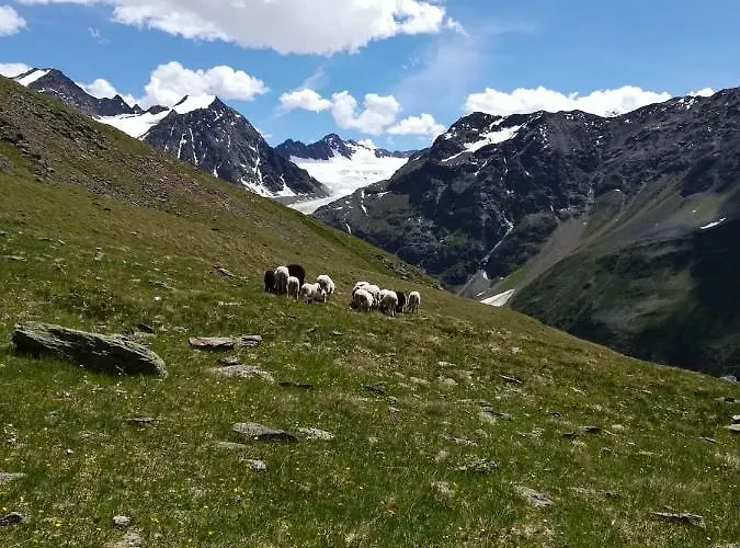 Haus Pechtl بيت ضيافة